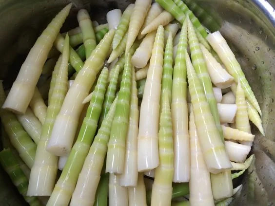 หน่อไม้ใยอาหารสูง: ประโยชน์ต่อการลดน้ำหนักและ 9 กลุ่มที่ต้องระวัง